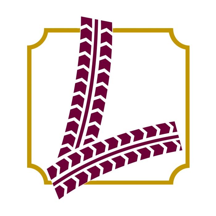 30 x 3 1/2 Excelsior