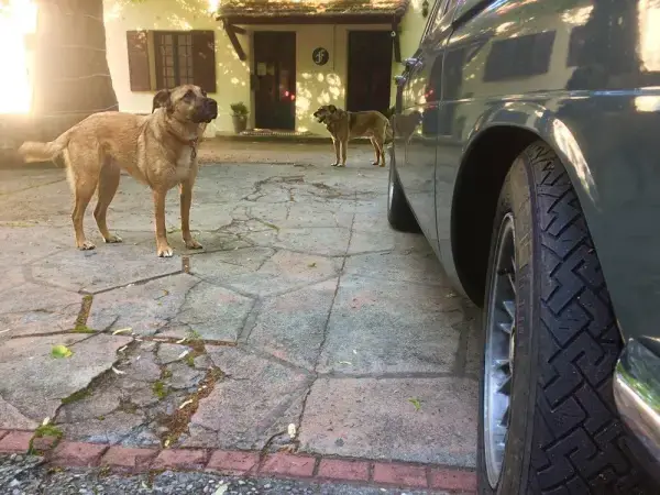 BMW 2002 on PIRELLI CINTURATO CN36 Tyres