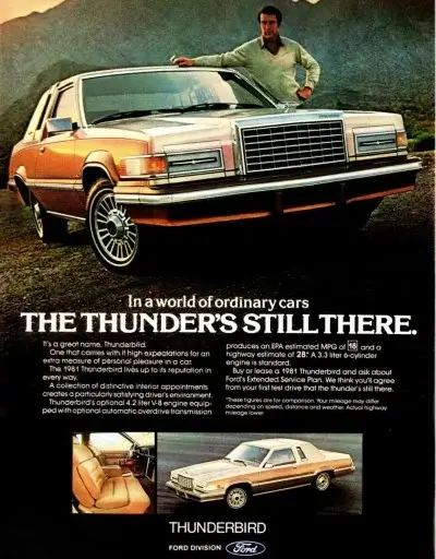 Click to enlarge 1981 Ford Thunderbird Tyres