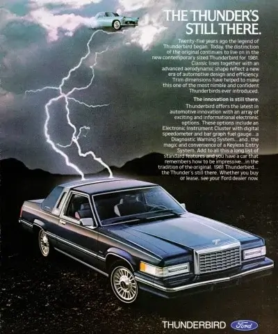 1981 Ford Thunderbird Tyres