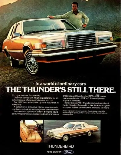 1981 Ford Thunderbird Tyres