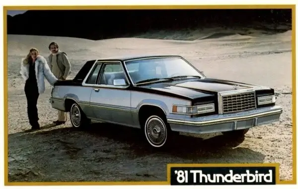 1981 Ford Thunderbird Tyres