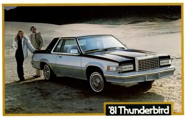 Click to enlarge 1981 Ford Thunderbird Tyres
